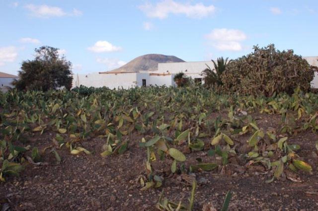 Gbh Casas Las Portadas La Oliva Bagian luar foto